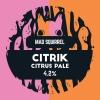 Mad Squirrel - Pint Citrik